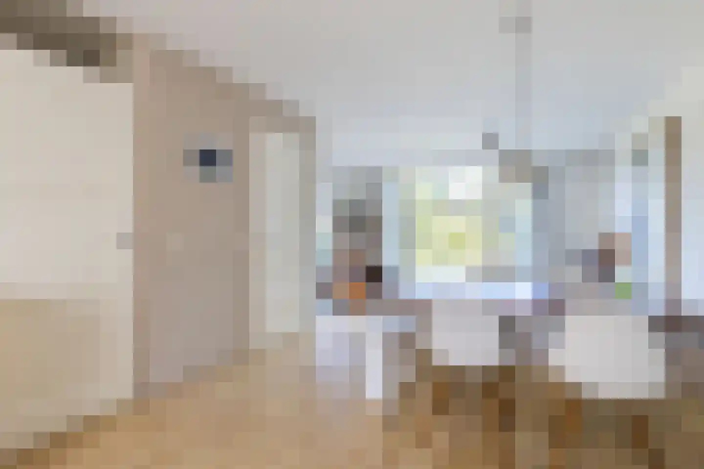 Magdalena van Weerdenburglaan 4 Egmond aan den Hoef thumbnail 13