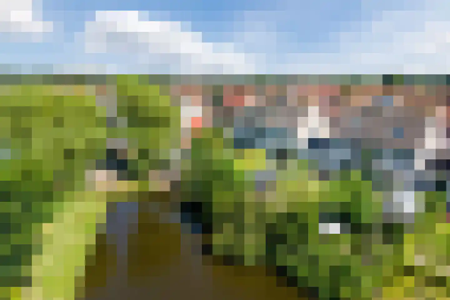 Magdalena van Weerdenburglaan 4 Egmond aan den Hoef thumbnail 64