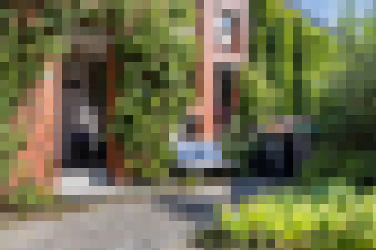 Magdalena van Weerdenburglaan 4 Egmond aan den Hoef thumbnail 7