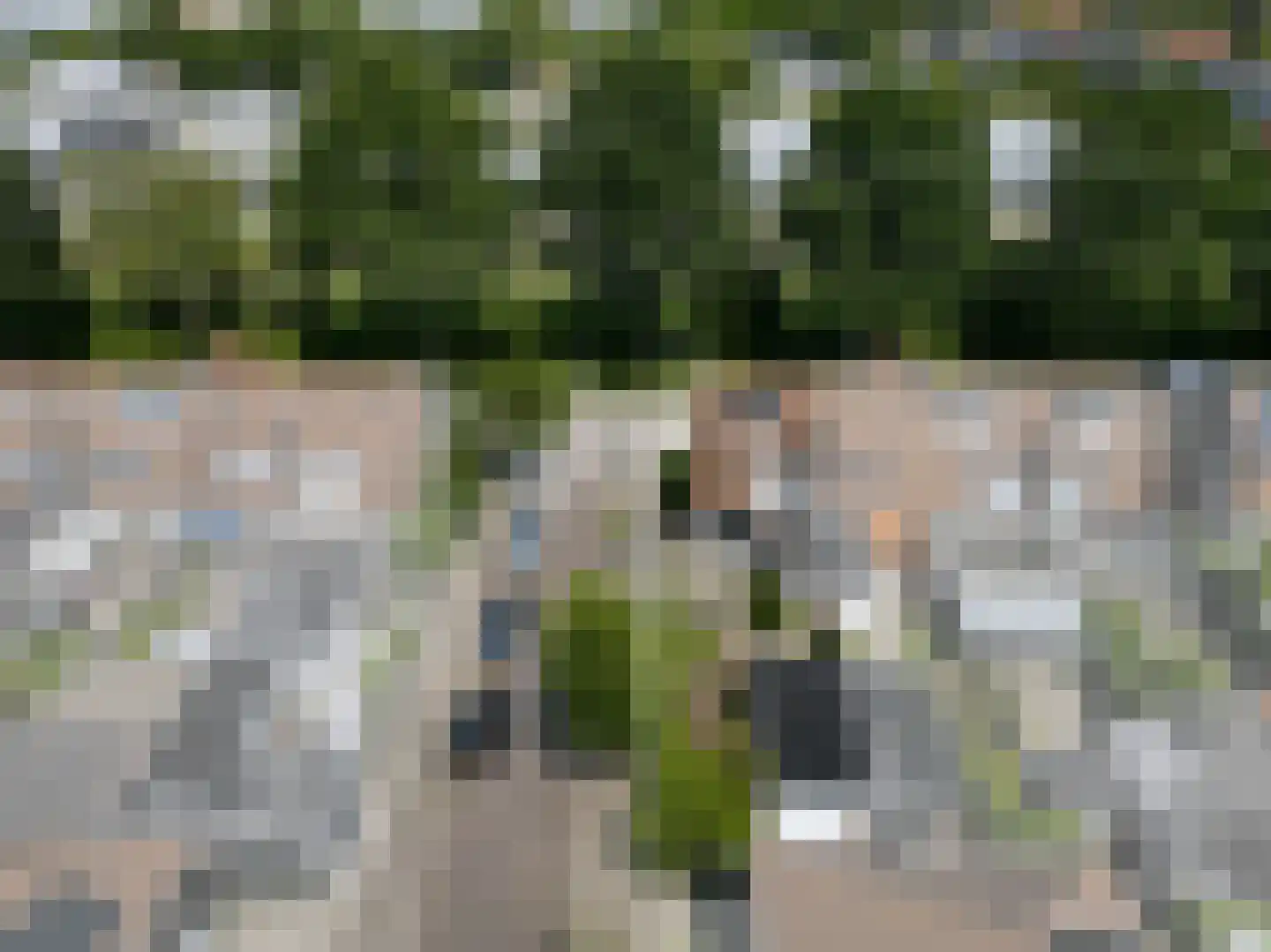 Magdalenalaan 16 Hengelo thumbnail 101