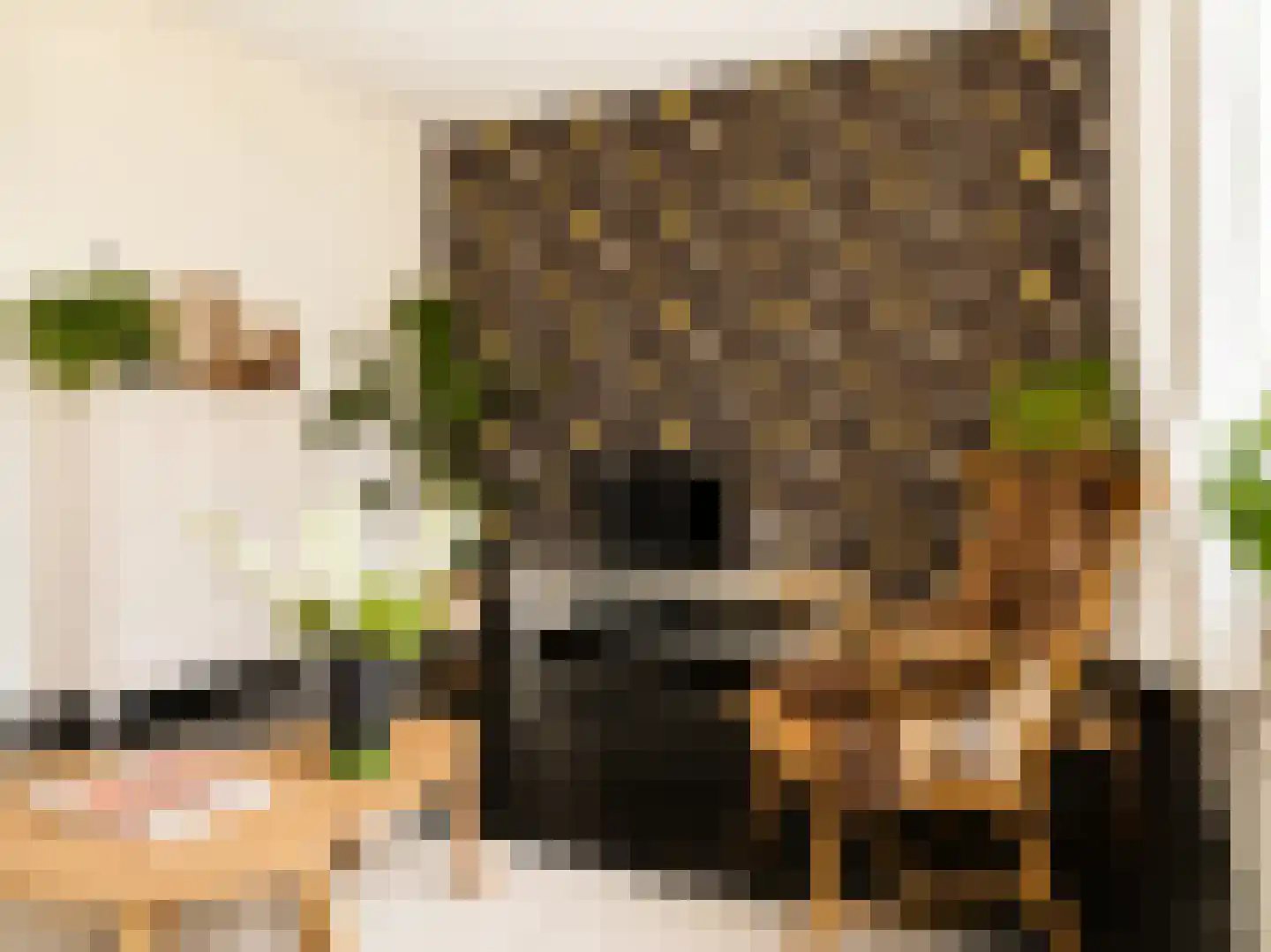 Magdalenalaan 16 Hengelo thumbnail 23