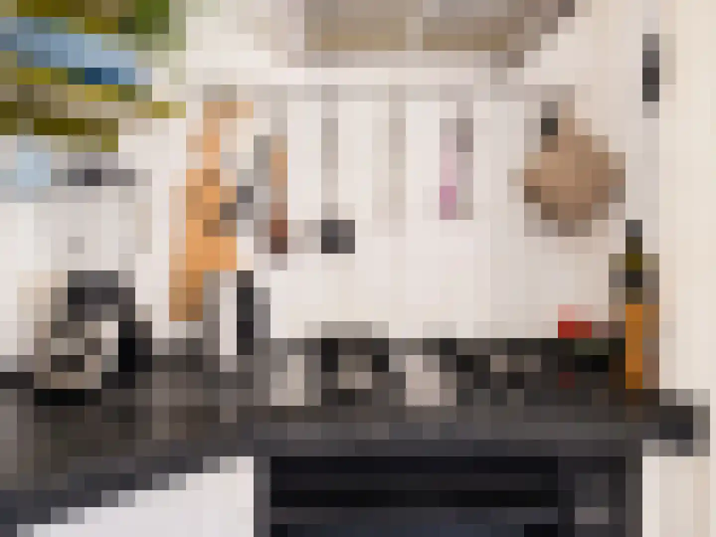 Magdalenalaan 16 Hengelo thumbnail 27