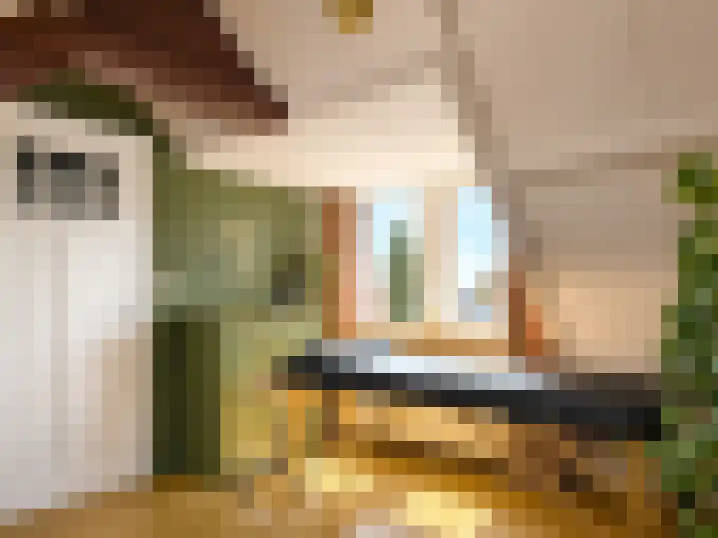 Magdalenalaan 16 Hengelo thumbnail 78