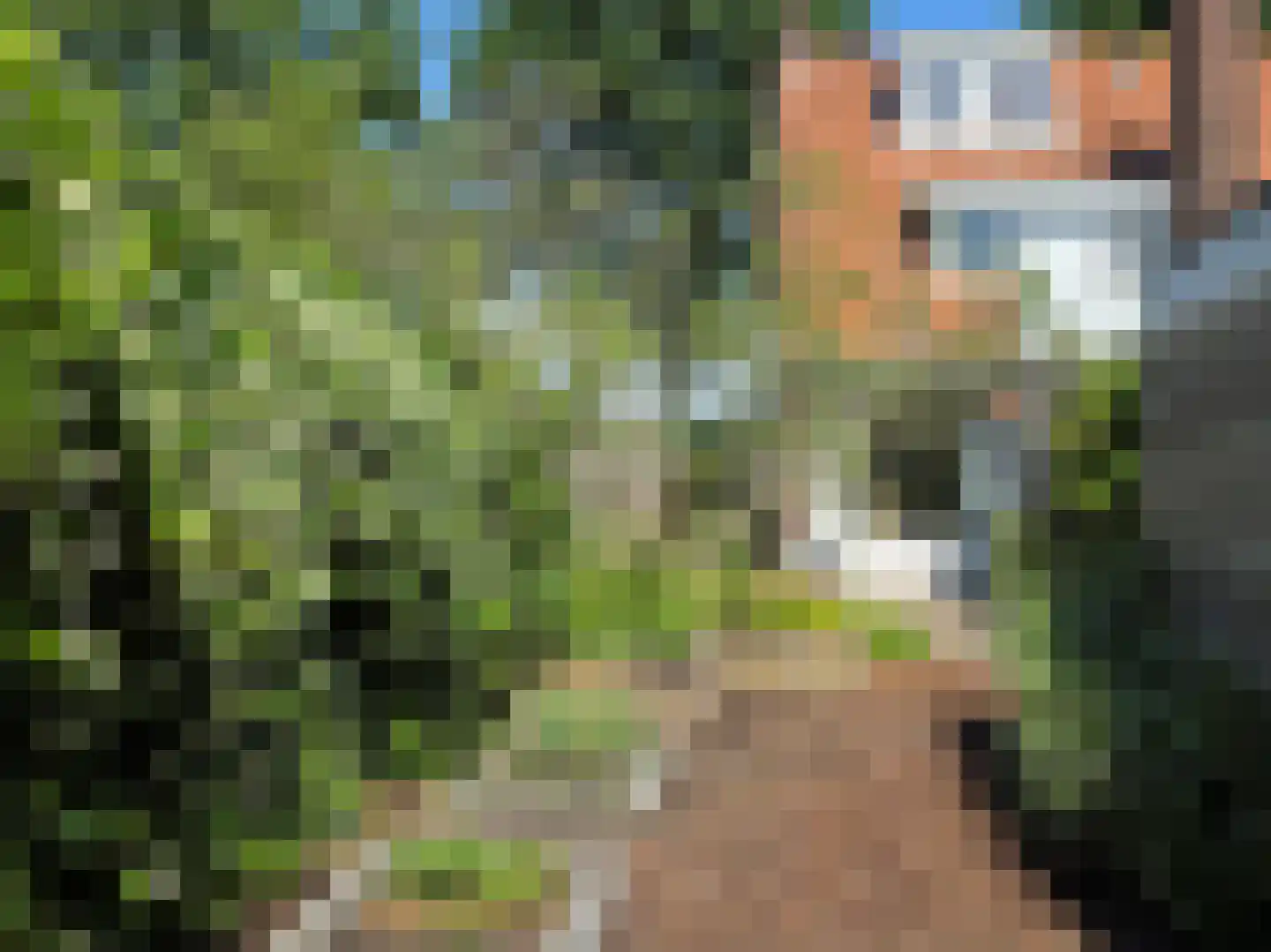 Magdalenalaan 16 Hengelo thumbnail 89