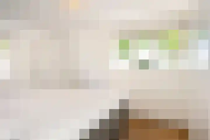 Magdalenalaan 8 Hengelo thumbnail 18