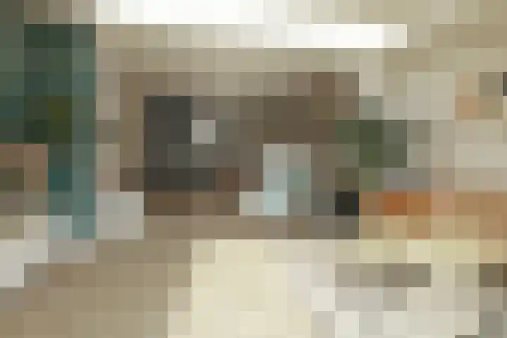 Magdalenapolder 14 Barendrecht thumbnail 11