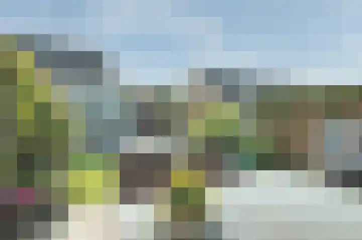 Magdalenapolder 14 Barendrecht thumbnail 33