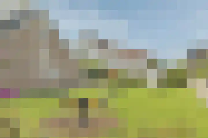 Magdalenapolder 14 Barendrecht thumbnail 36