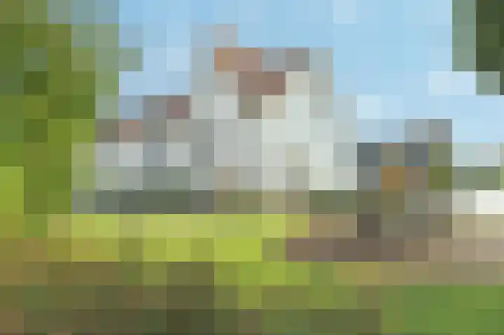 Magdalenapolder 14 Barendrecht thumbnail 38