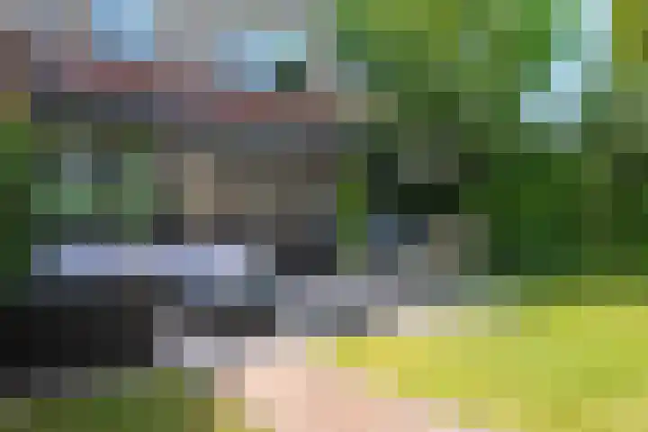 Magdalenapolder 17 Amersfoort thumbnail 15
