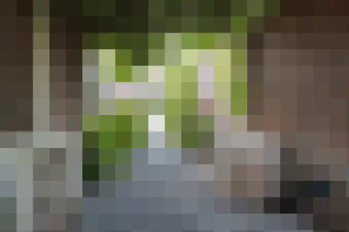 Magdalenapolder 17 Amersfoort thumbnail 21
