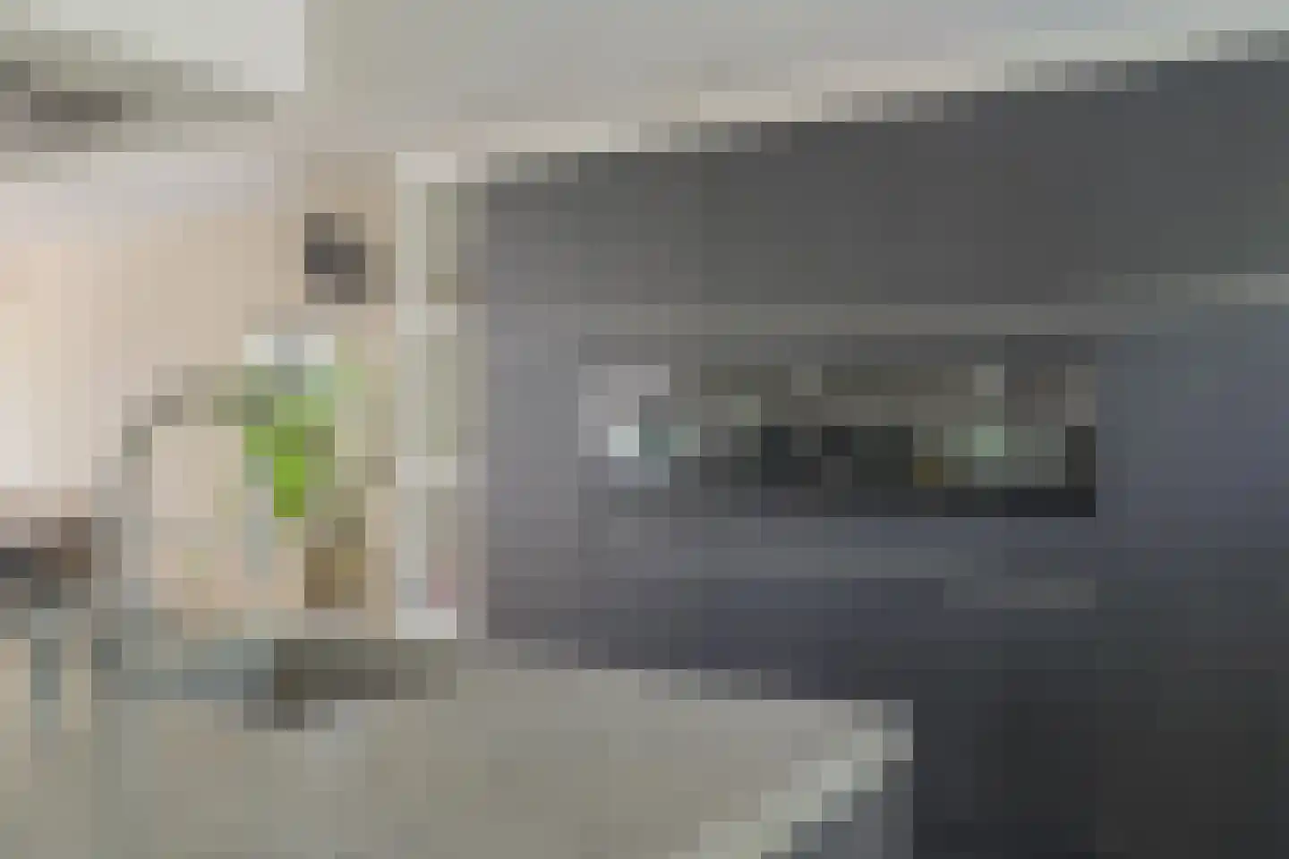 Magdalenapolder 26 Barendrecht thumbnail 19