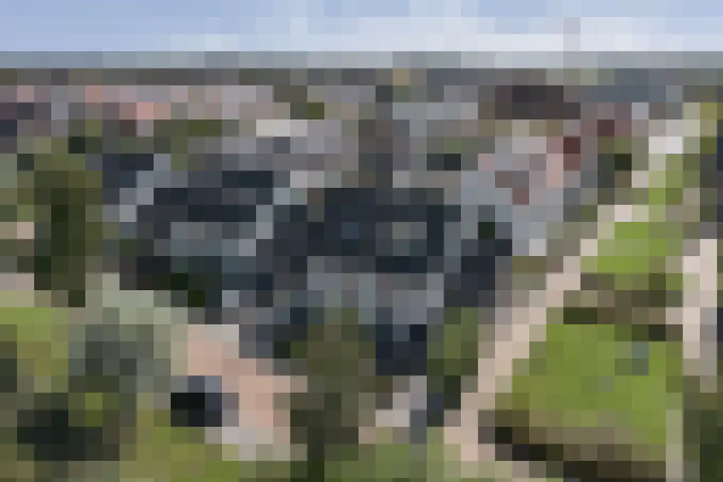 Magdalenapolder 26 Barendrecht thumbnail 47