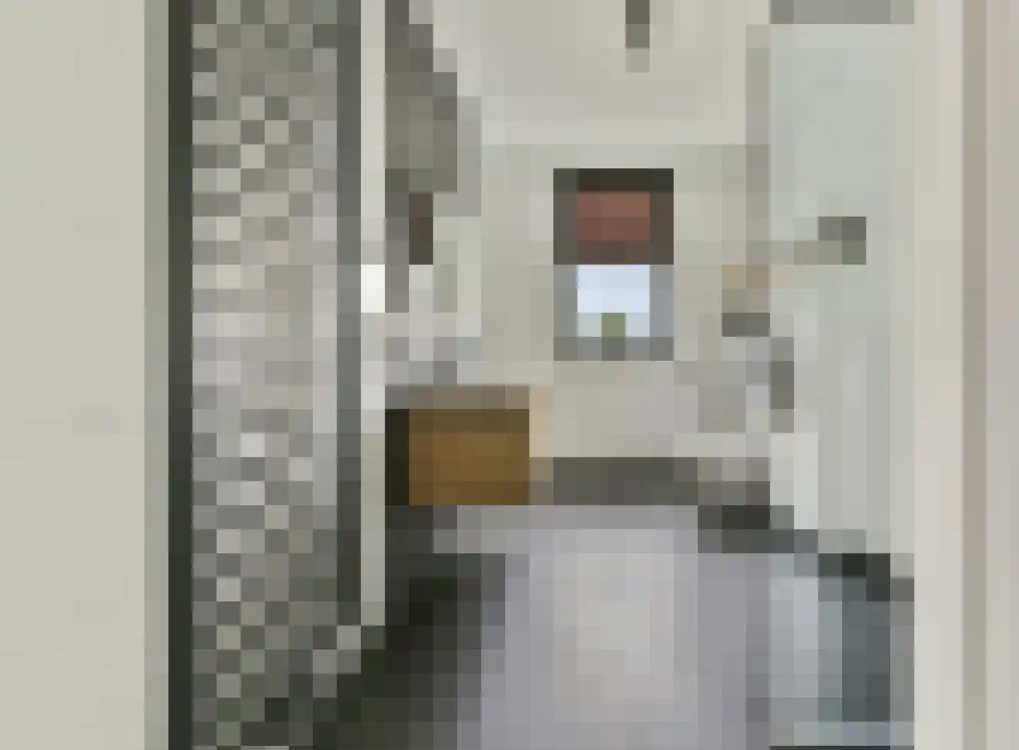 Magdalenapolder 27 Amersfoort thumbnail 29