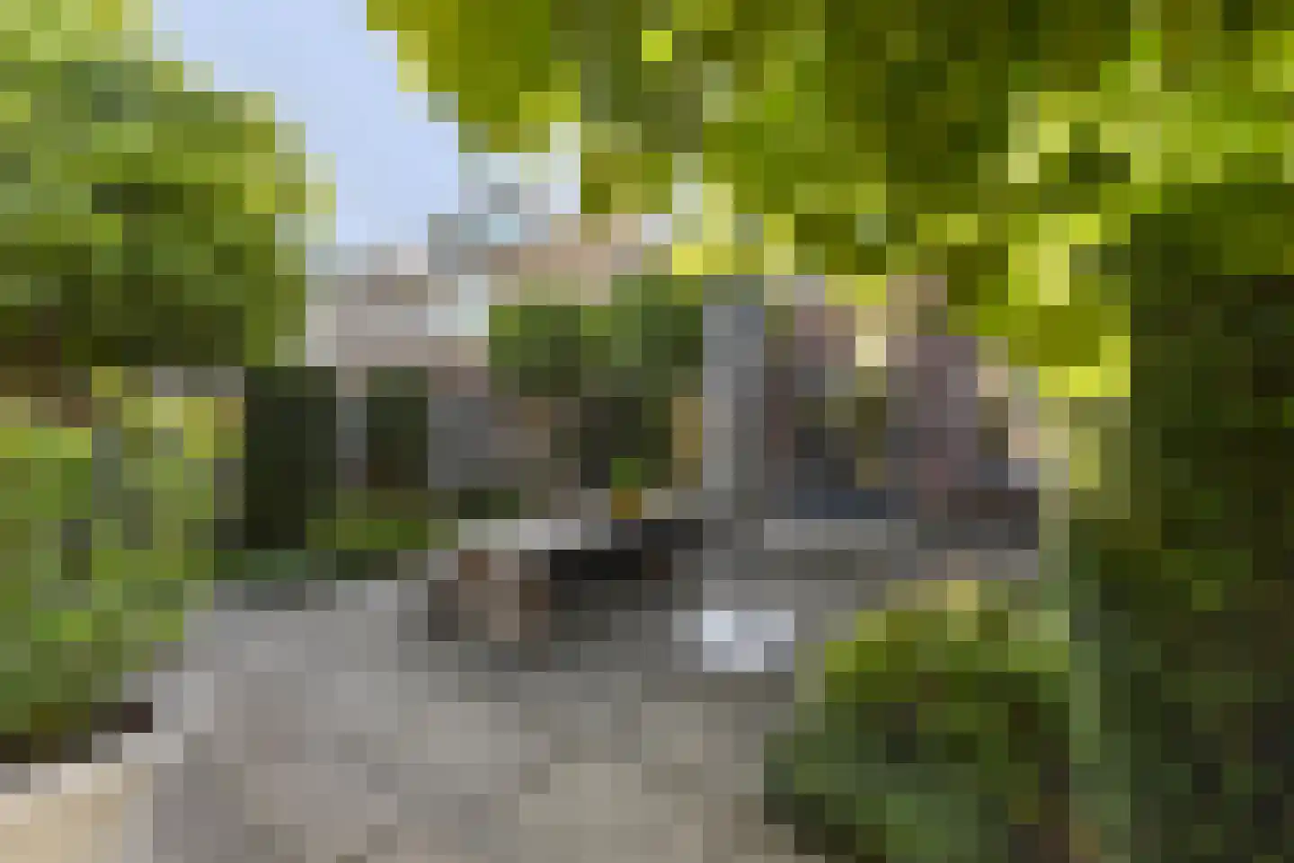 Magdalenapolder 27 Amersfoort thumbnail 41