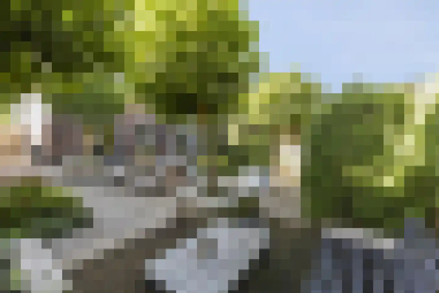 Magdalenapolder 27 Amersfoort thumbnail 43