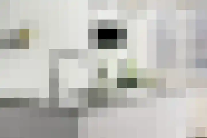 Magdalenapolder 31 Amersfoort thumbnail 12