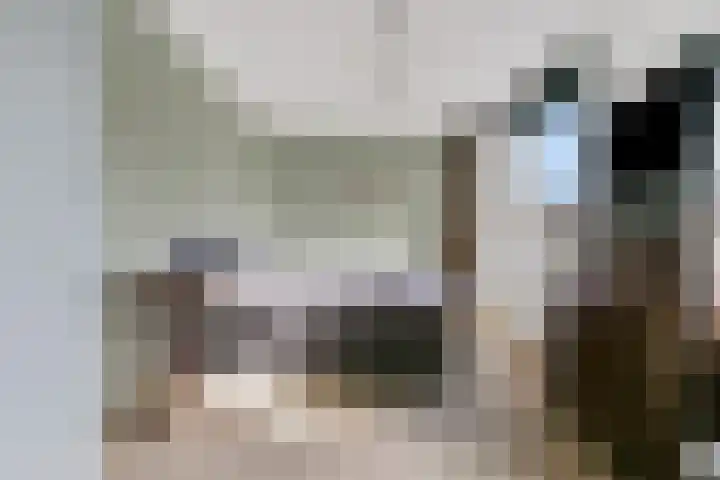 Magdalenapolder 31 Amersfoort thumbnail 18