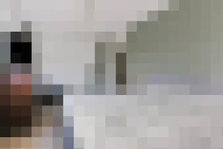 Magdalenapolder 31 Amersfoort thumbnail 19