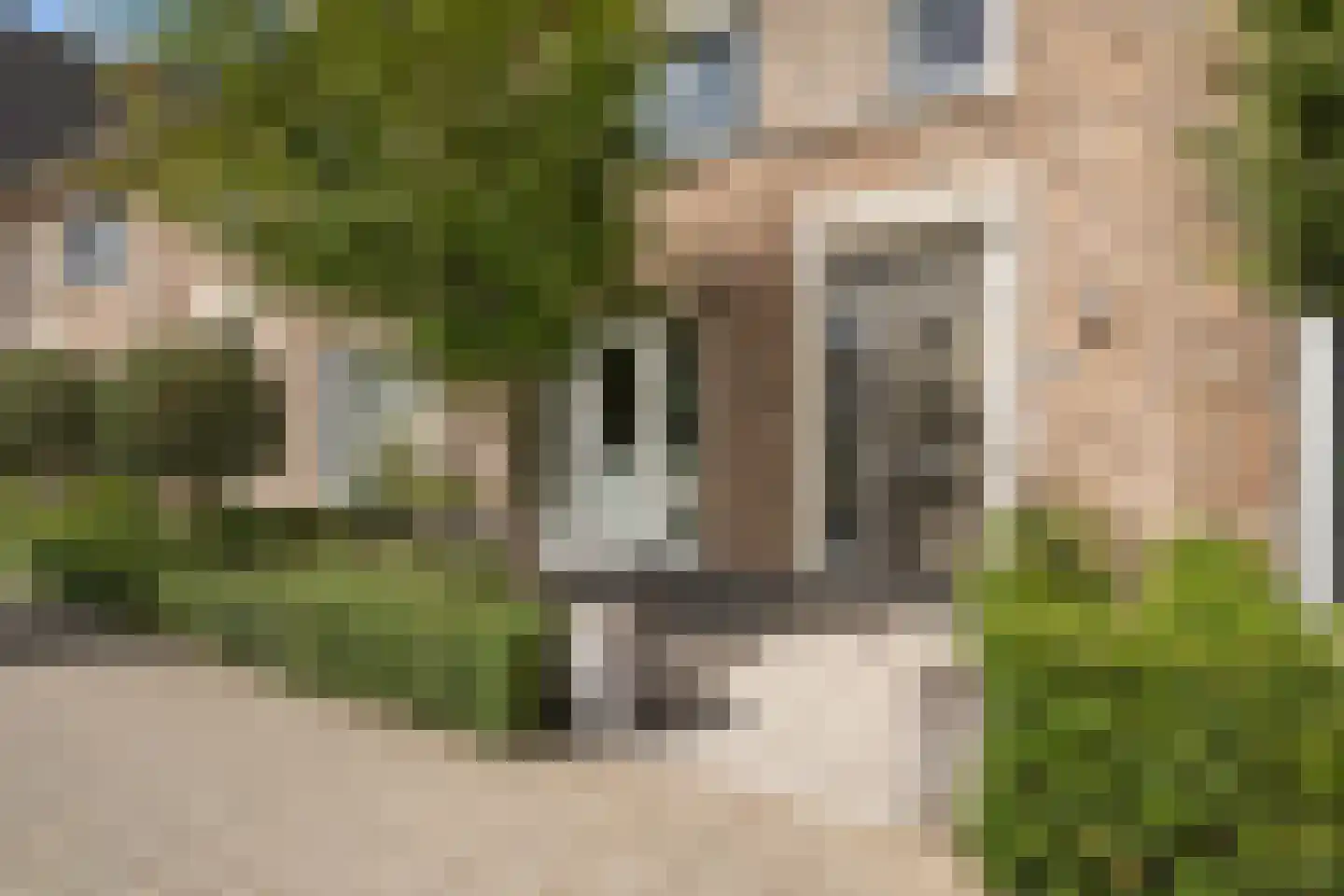 Magdalenapolder 50 Barendrecht thumbnail 6
