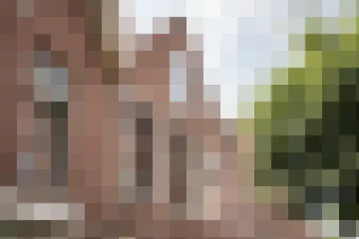 Magdalenastraat 18 RD Haarlem thumbnail 5