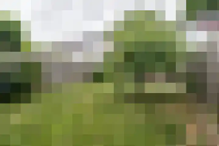 Magdalenastraat 19 Weert thumbnail 35
