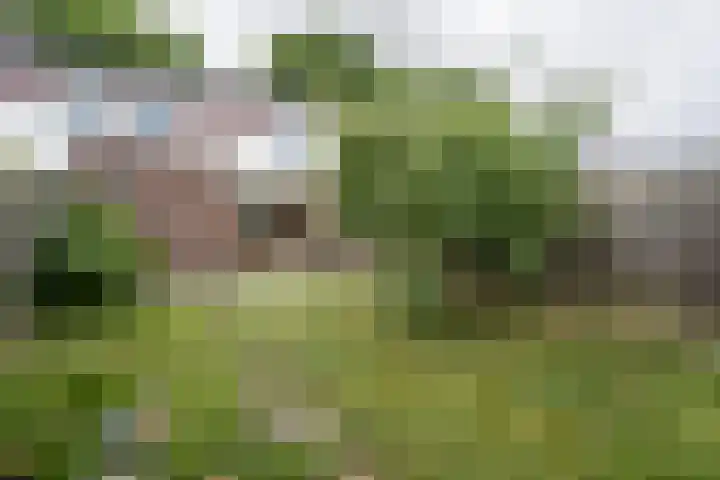 Magdalenastraat 19 Weert thumbnail 36