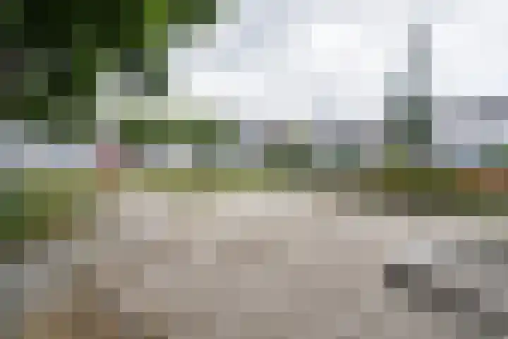 Magdalenastraat 19 Weert thumbnail 37