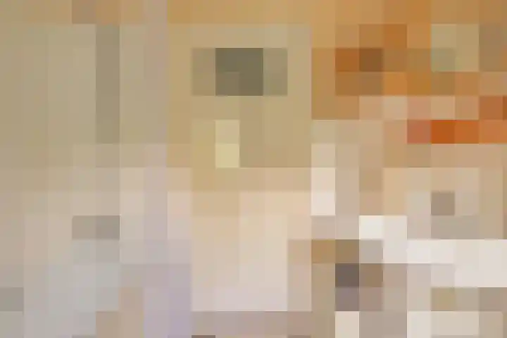 Magdalenastraat 21 Heikant thumbnail 24