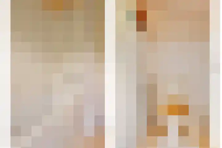 Magdalenastraat 21 Heikant thumbnail 25