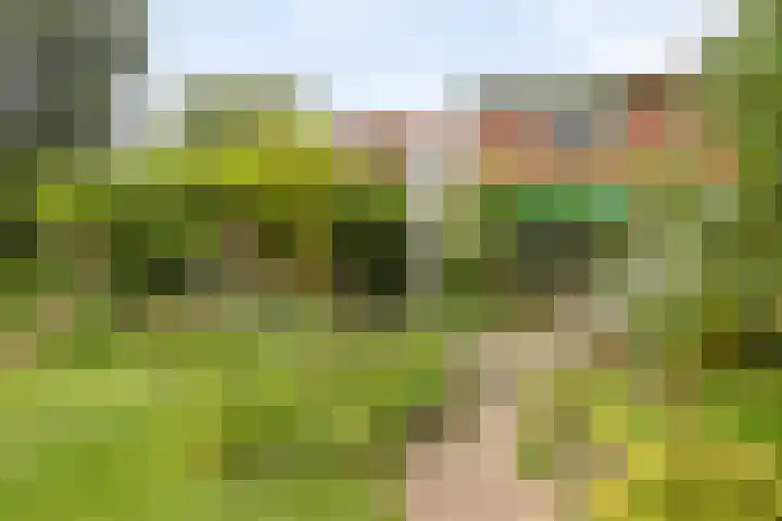 Magdalenastraat 21 Heikant thumbnail 26