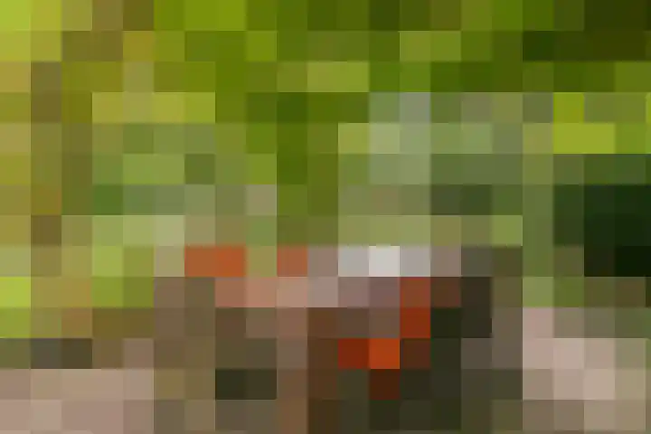 Magdalenastraat 21 Heikant thumbnail 27