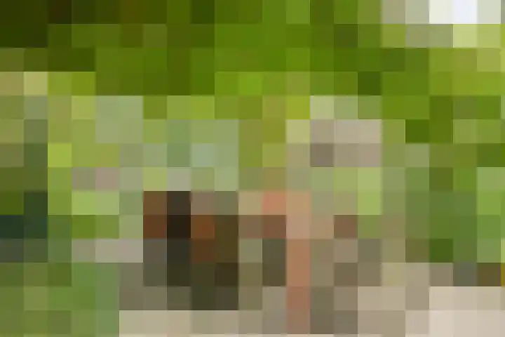 Magdalenastraat 21 Heikant thumbnail 28