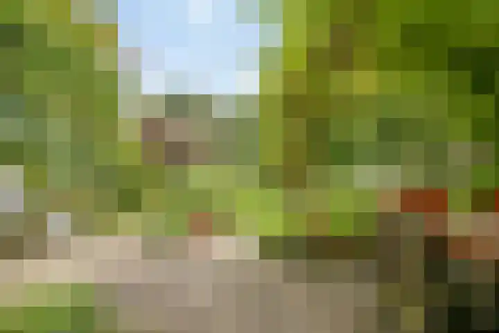 Magdalenastraat 21 Heikant thumbnail 29