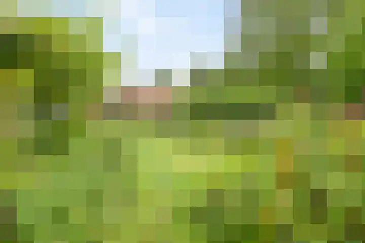 Magdalenastraat 21 Heikant thumbnail 30