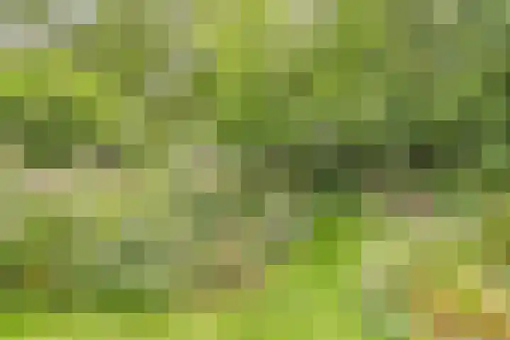 Magdalenastraat 21 Heikant thumbnail 31