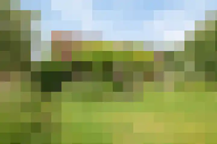 Magdalenastraat 21 Heikant thumbnail 32
