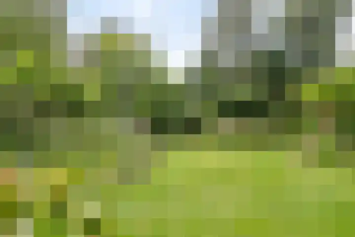 Magdalenastraat 21 Heikant thumbnail 33