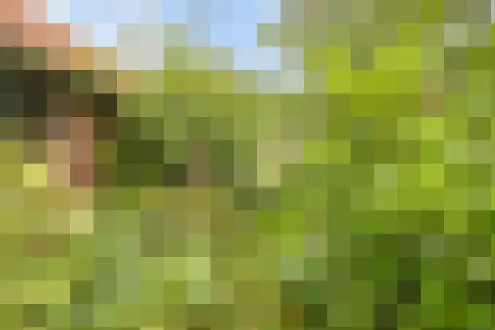 Magdalenastraat 21 Heikant thumbnail 34