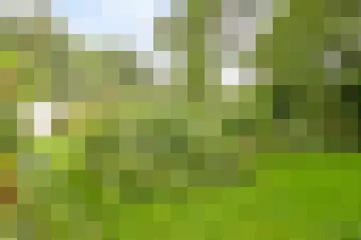 Magdalenastraat 21 Heikant thumbnail 35