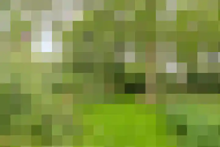Magdalenastraat 21 Heikant thumbnail 36