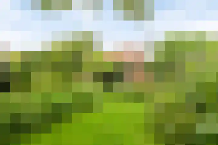 Magdalenastraat 21 Heikant thumbnail 37