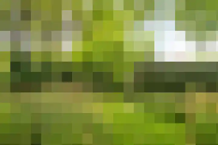 Magdalenastraat 21 Heikant thumbnail 38