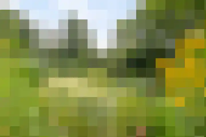 Magdalenastraat 21 Heikant thumbnail 40