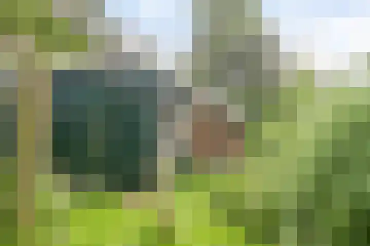 Magdalenastraat 21 Heikant thumbnail 42