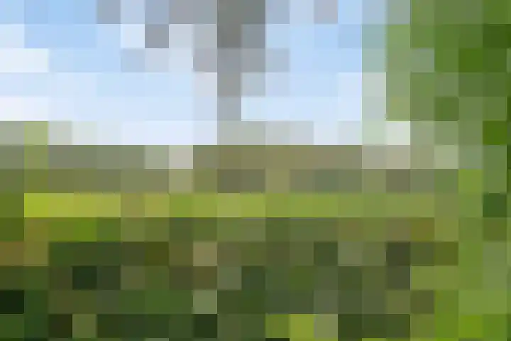 Magdalenastraat 21 Heikant thumbnail 44