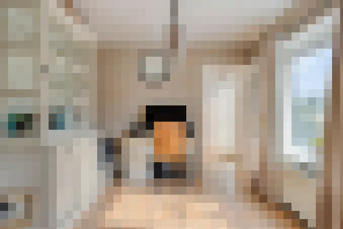 Magdalenastraat 24 Heikant thumbnail 10