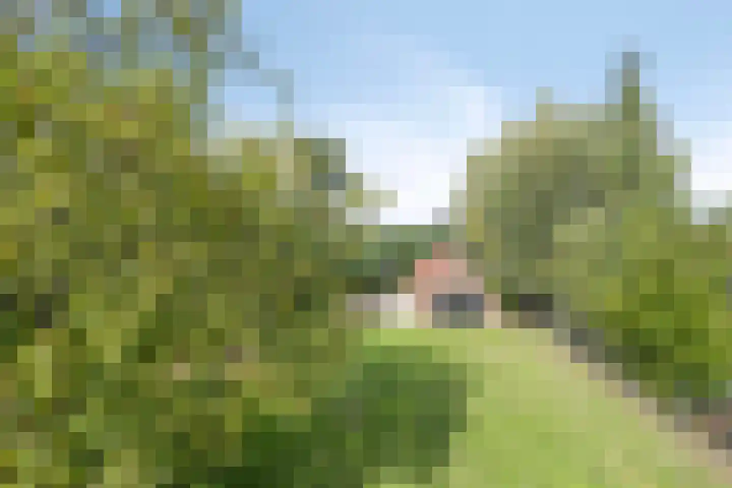 Magdalenastraat 24 Heikant thumbnail 25