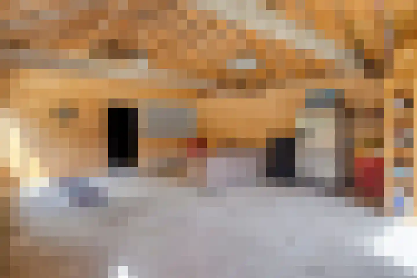 Magdalenastraat 24 Heikant thumbnail 32