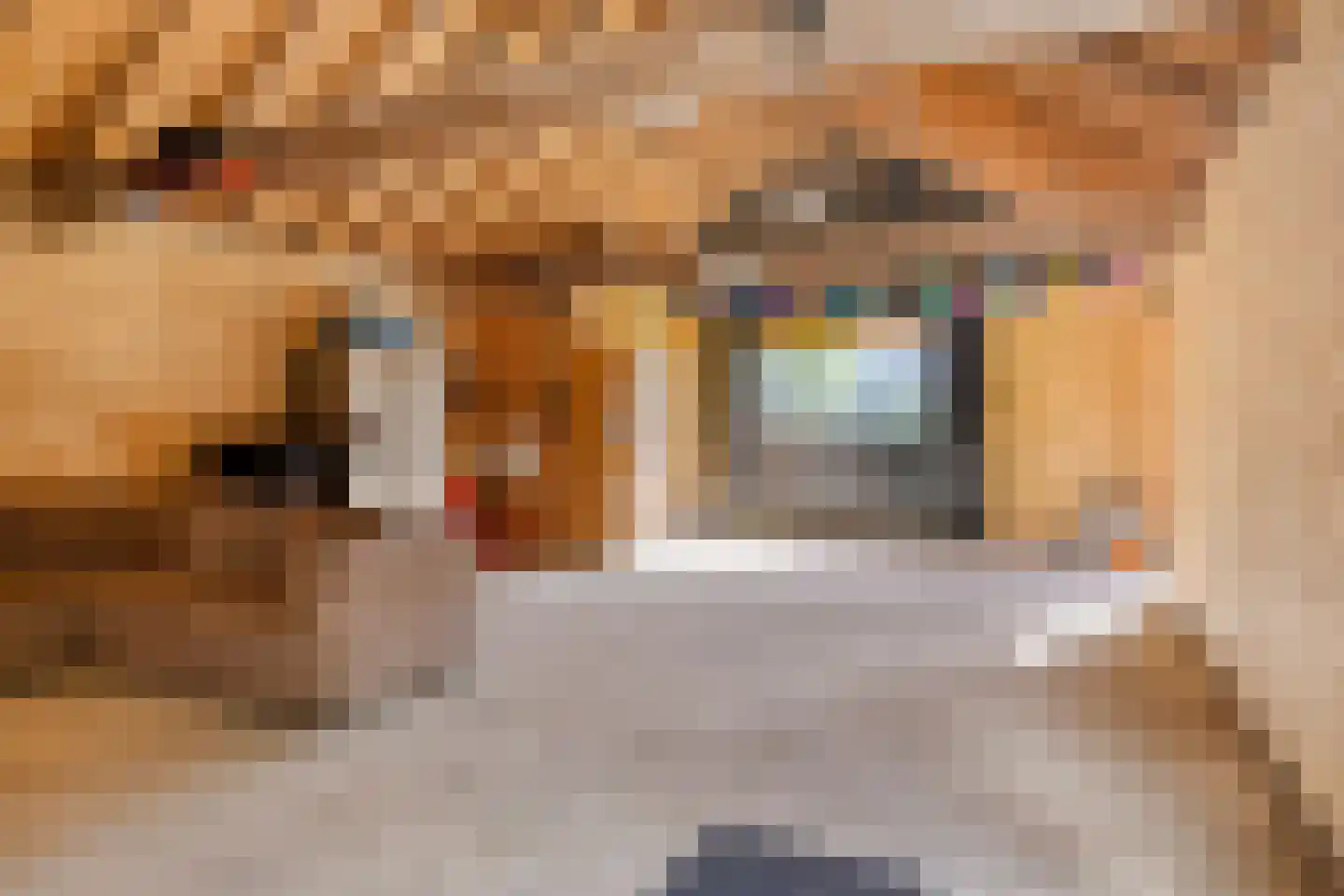 Magdalenastraat 24 Heikant thumbnail 33